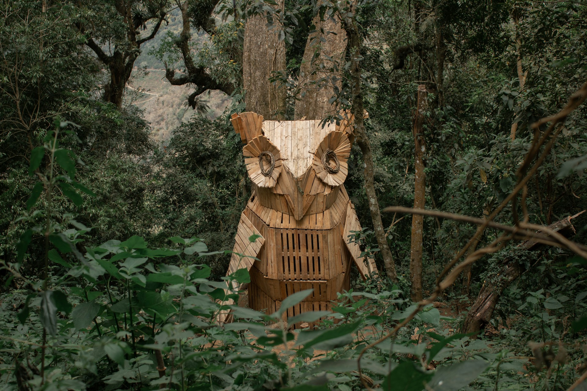 Guatemala 4