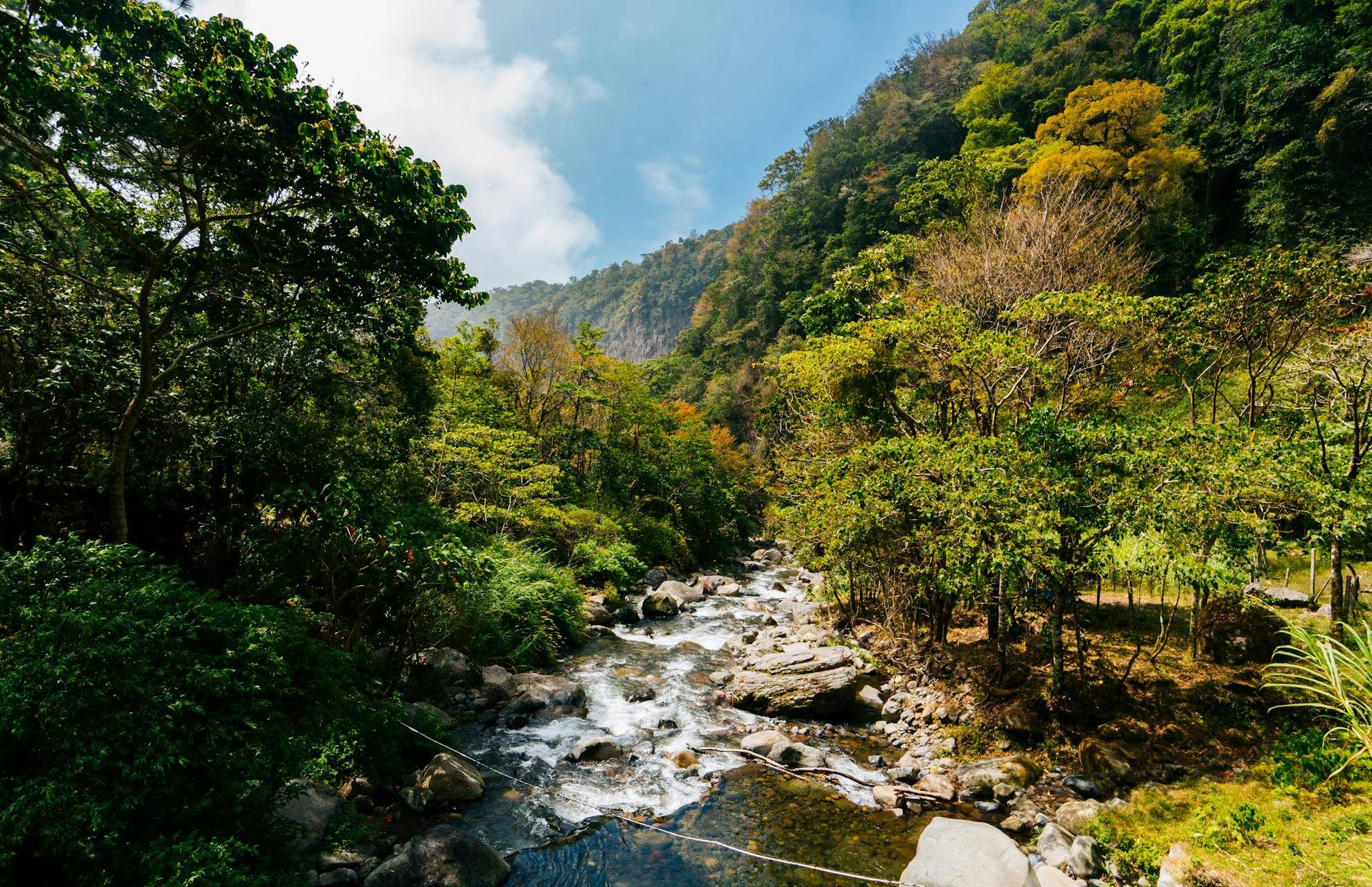 Panama 1