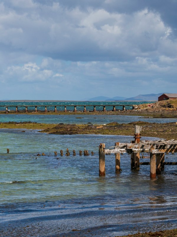 Falkland insel 11