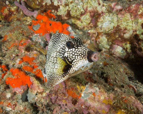 Tayrona Nationalpark 9