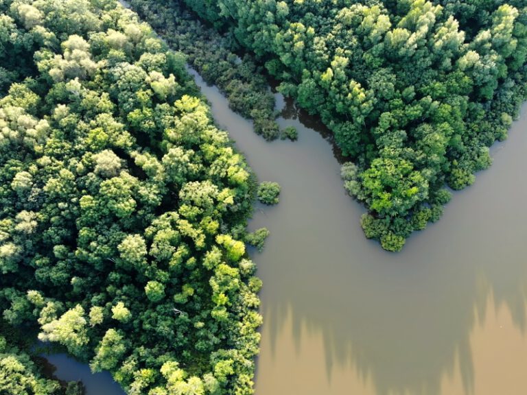 Beste Südamerika Reisezeit - Die Länder im Überblick